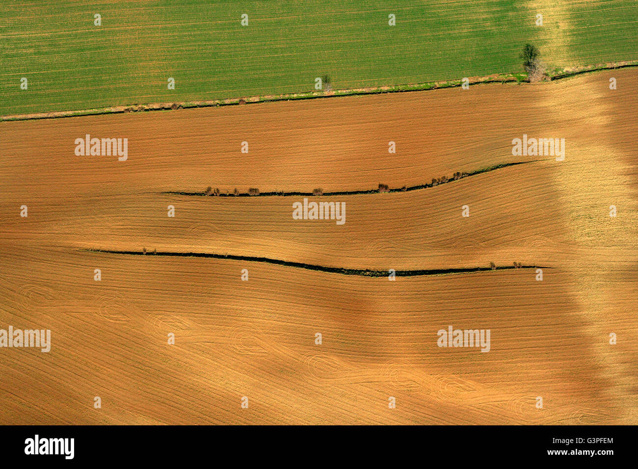 Fields, aerial view. Plana de Vic. Barcelona province. Catalonia. Spain Stock Photo