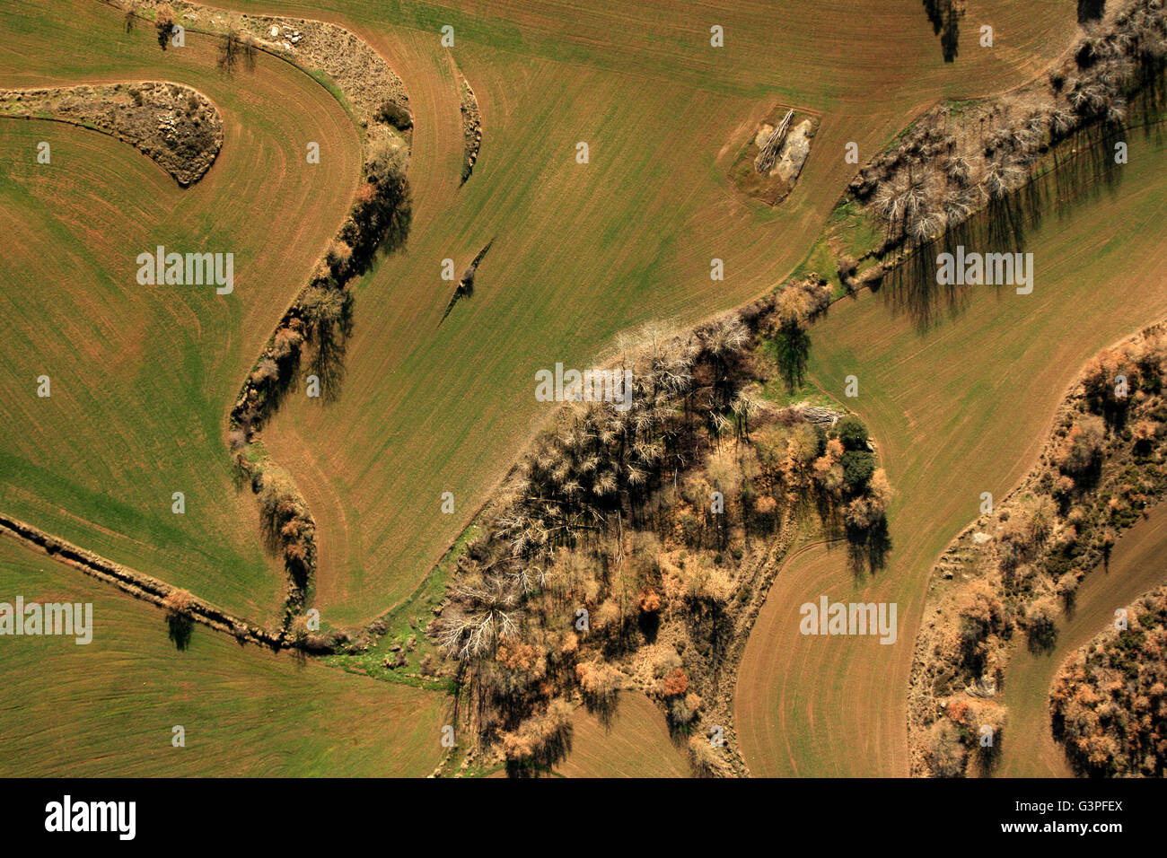 Field and forest, aerial view. Plana de Vic. Barcelona province. Catalonia. Spain Stock Photo