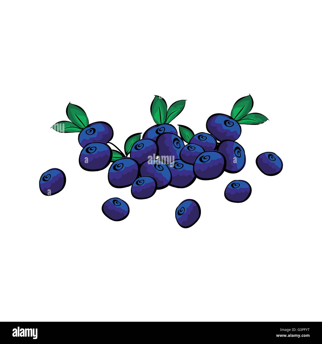 Hand drawn blueberries closeup Stock Vector Image & Art Alamy