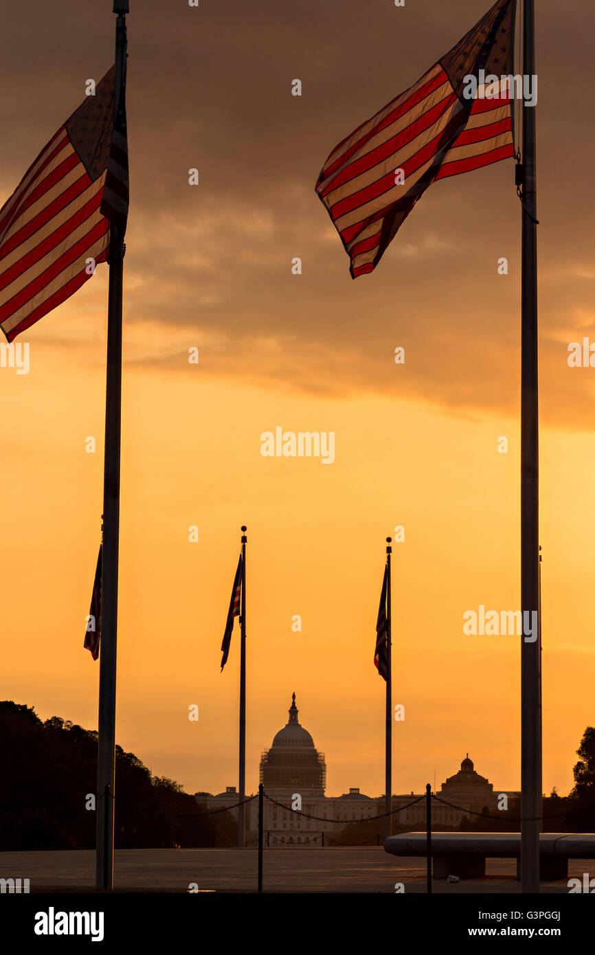Flags fluttering around the Washington Monument silhouetted by sunset in Washington, DC. Stock Photo