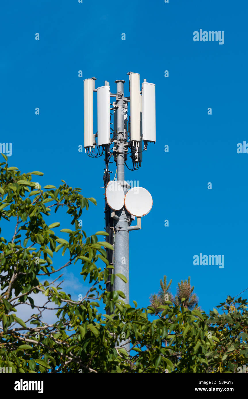 Mobile antenna trees hi-res stock photography and images - Alamy