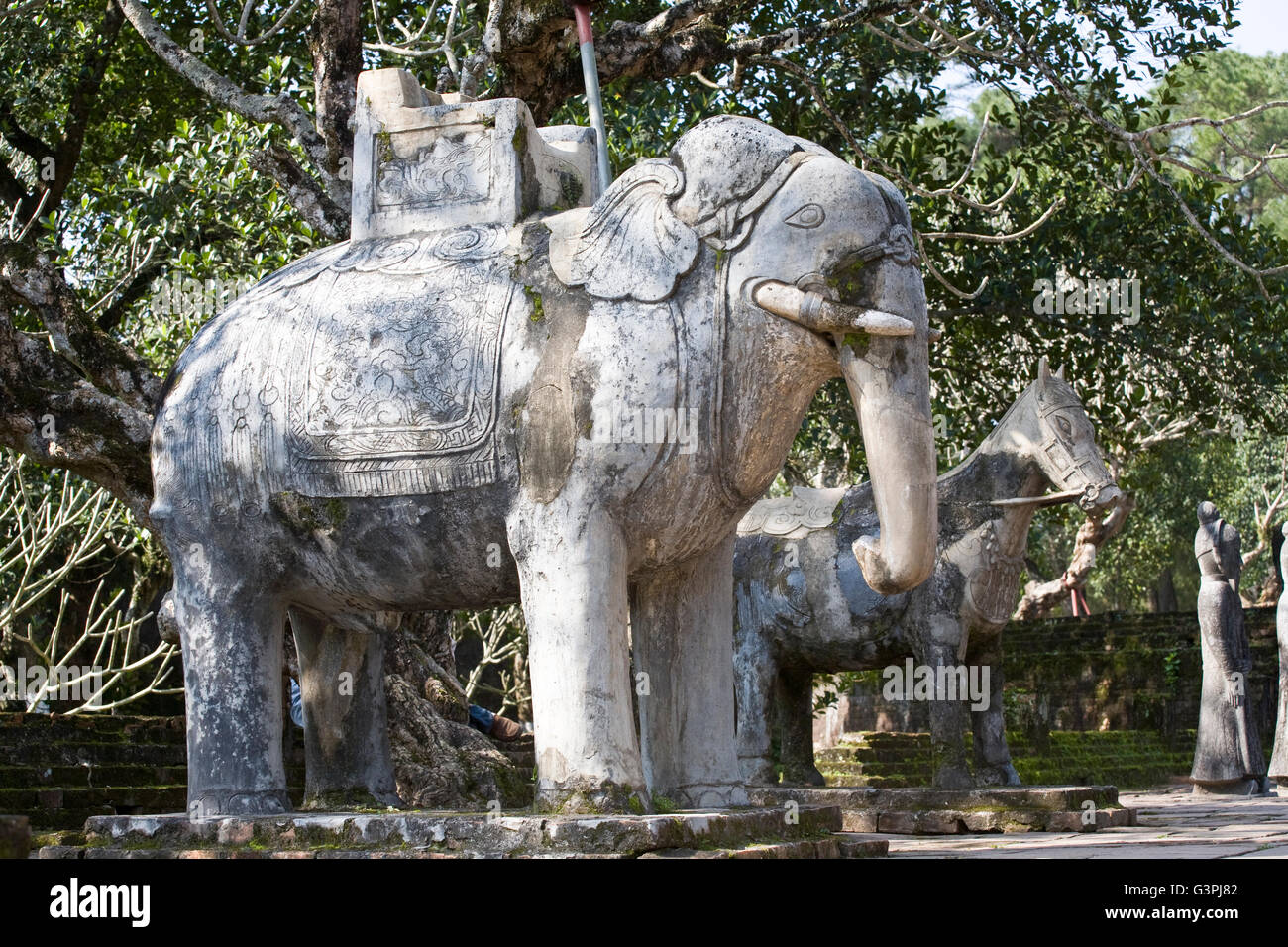 Elephant burial hires stock photography and images Alamy