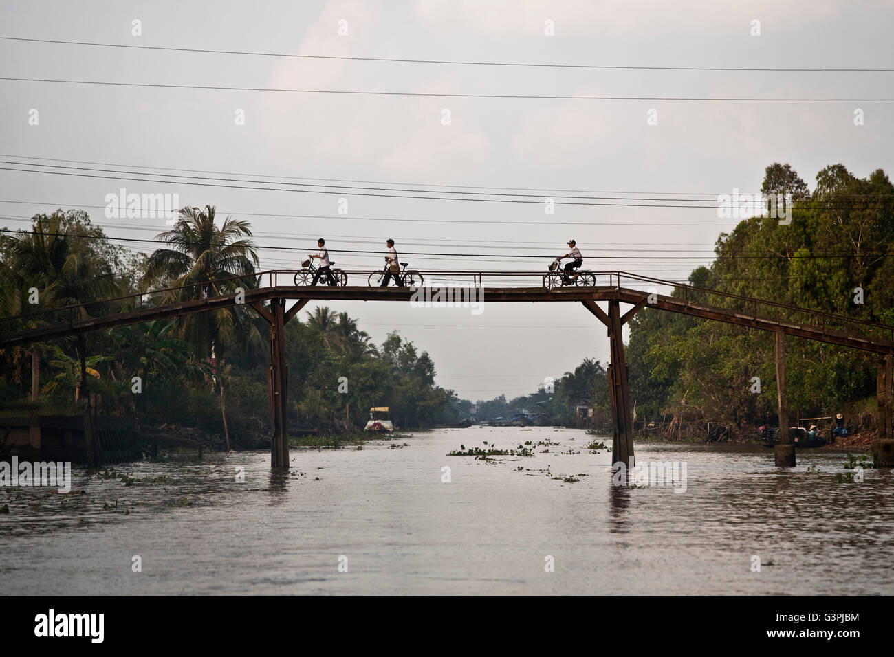 Typical wooden bridge, Monkey Bridge, in the Mekong Delta, South