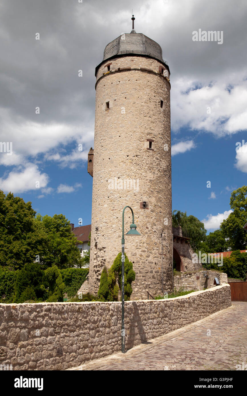 Sackturm, Saxon Tower, Warburg, North Rhine-Westphalia, PublicGround Stock Photo