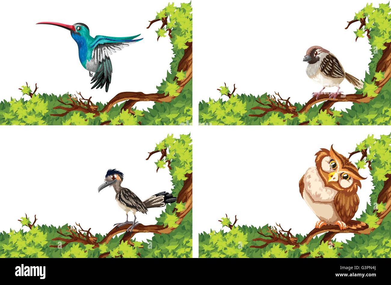 Different wild birds on the branch illustration Stock Vector