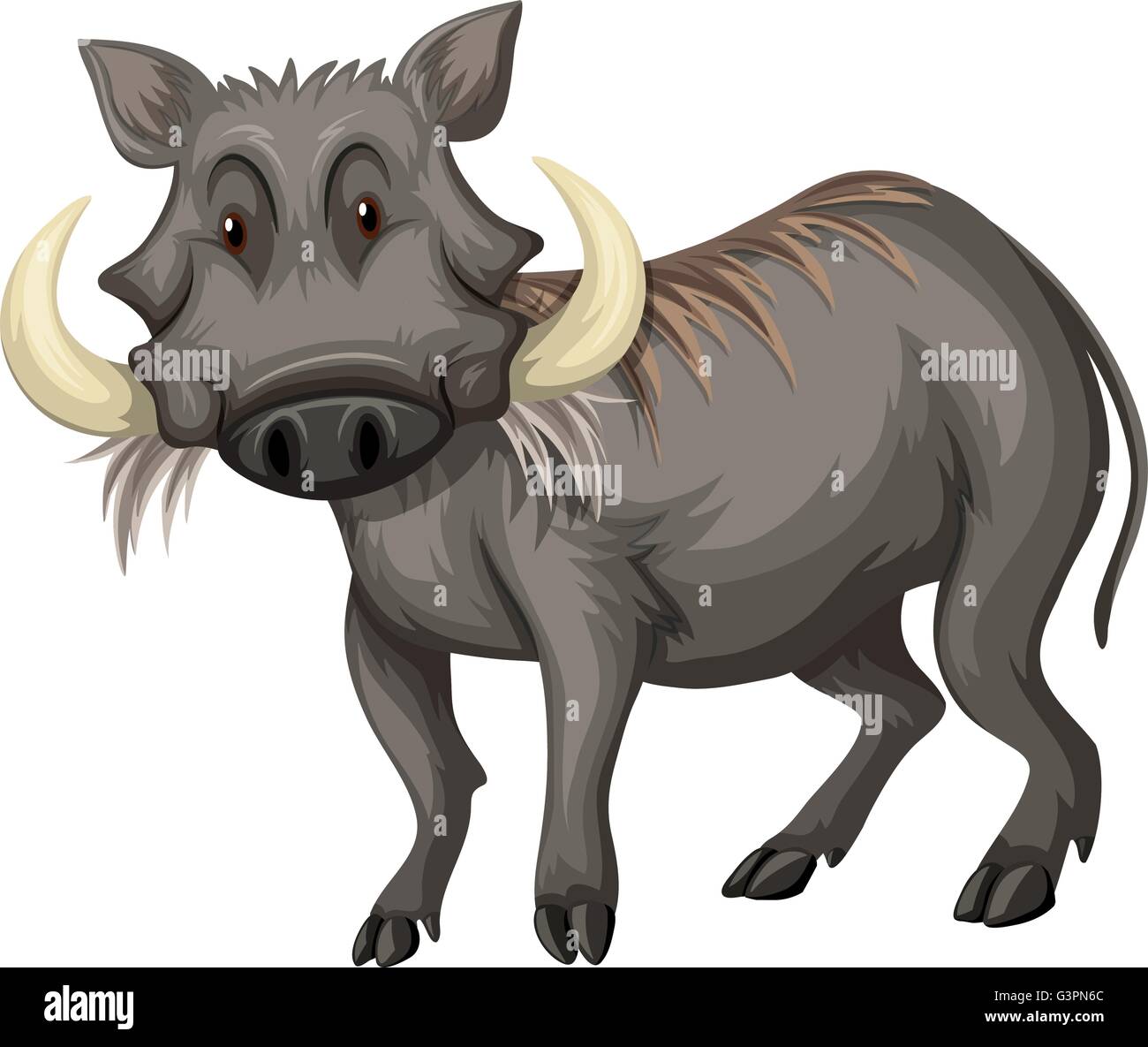 Wild pig with sharp teeth illustration Stock Vector