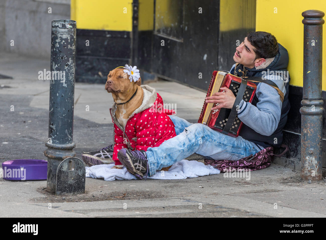 Accordion entertainer hires stock photography and images Alamy