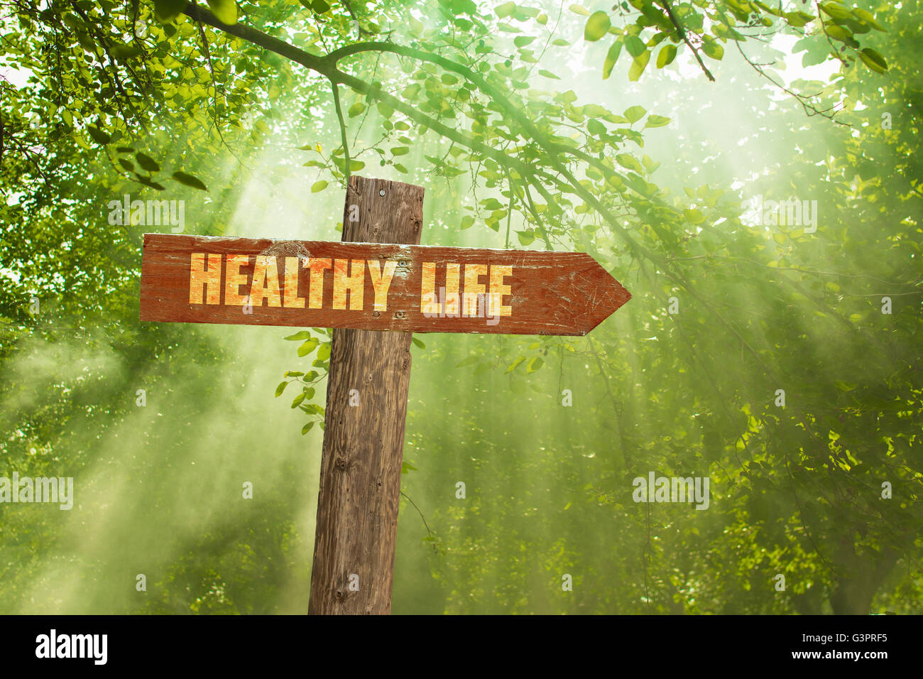 Sign with Healthy Life Text on Green Forest. Stock Photo