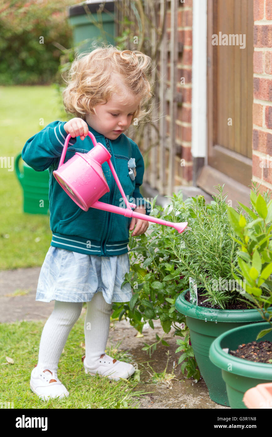 Two year old toddler with watering can in the garden, England, UK Stock Photo