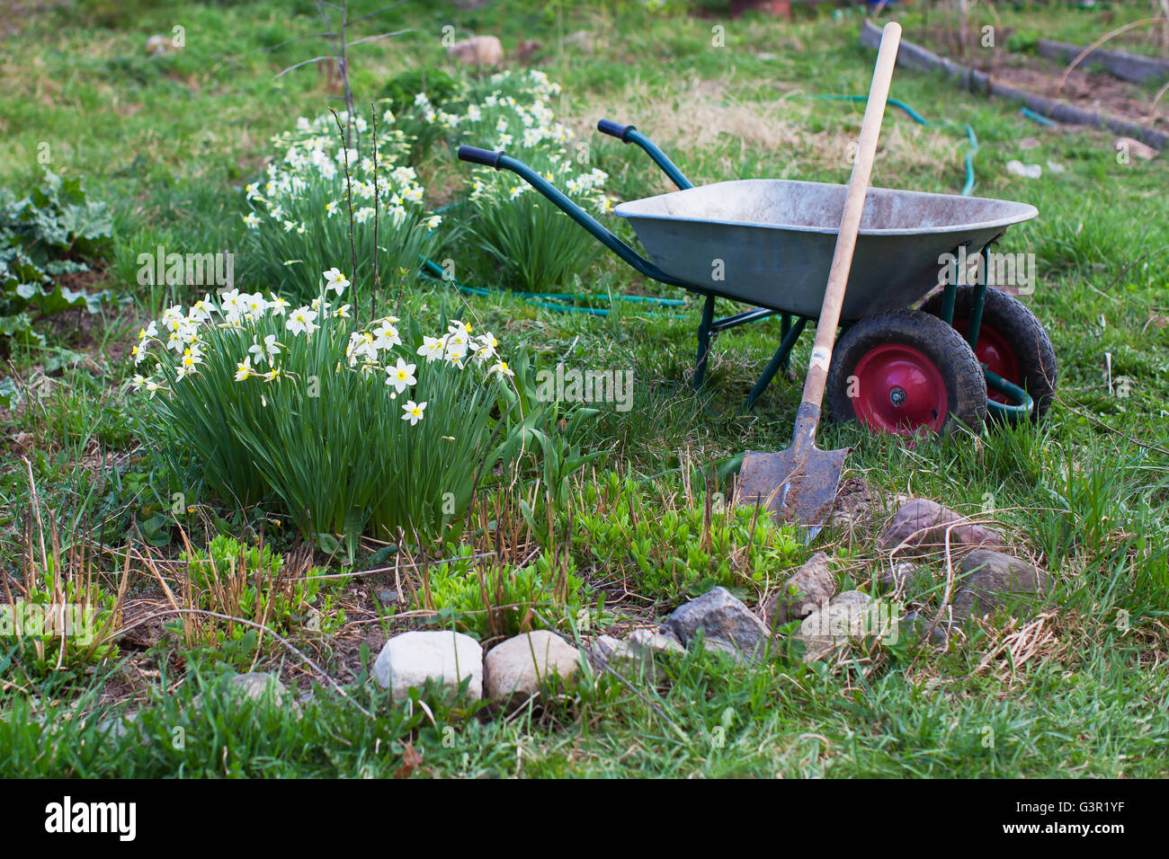 Shovel and the cart on a garden site Stock Photo