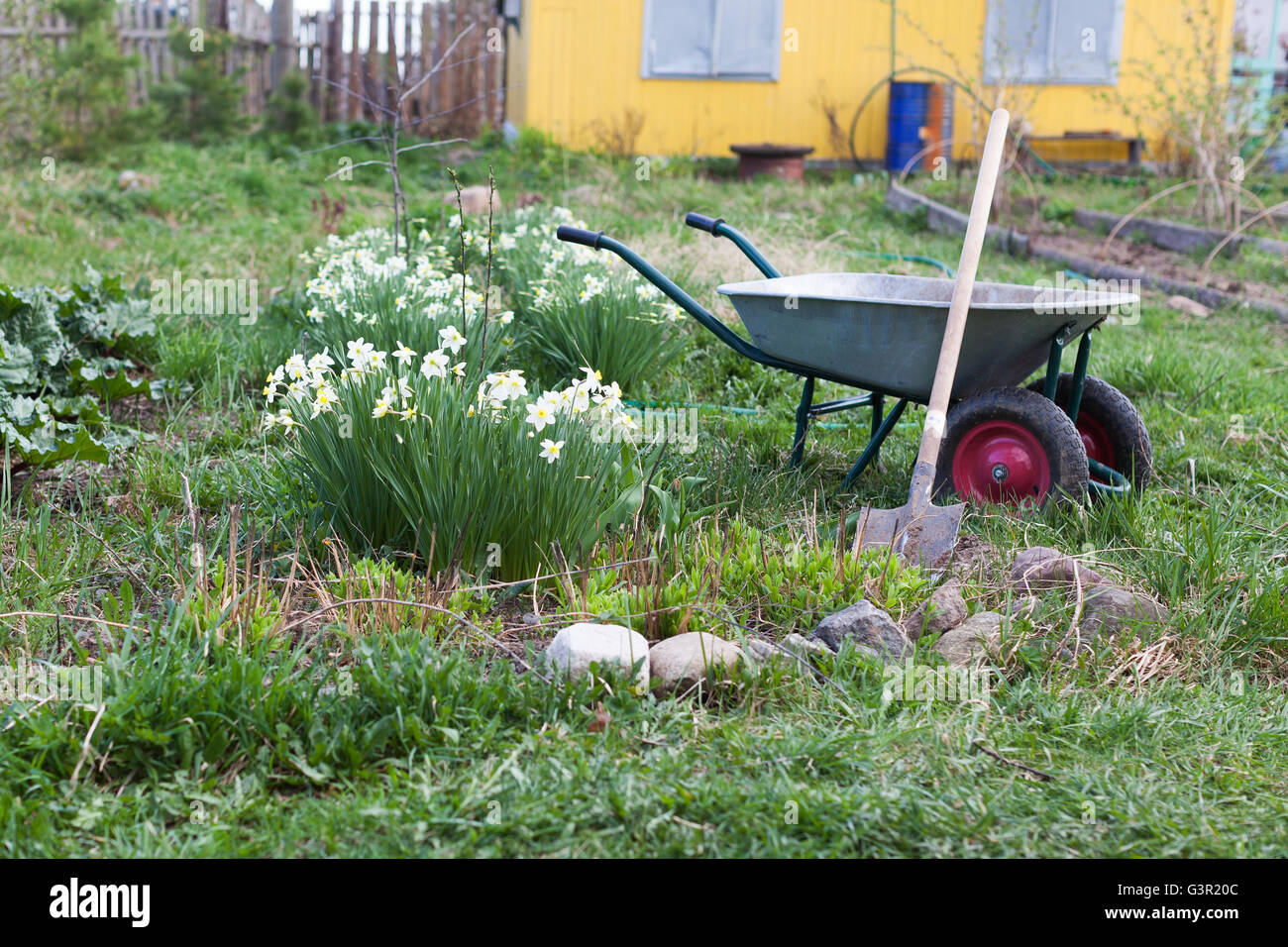 Shovel and the cart on a garden site Stock Photo