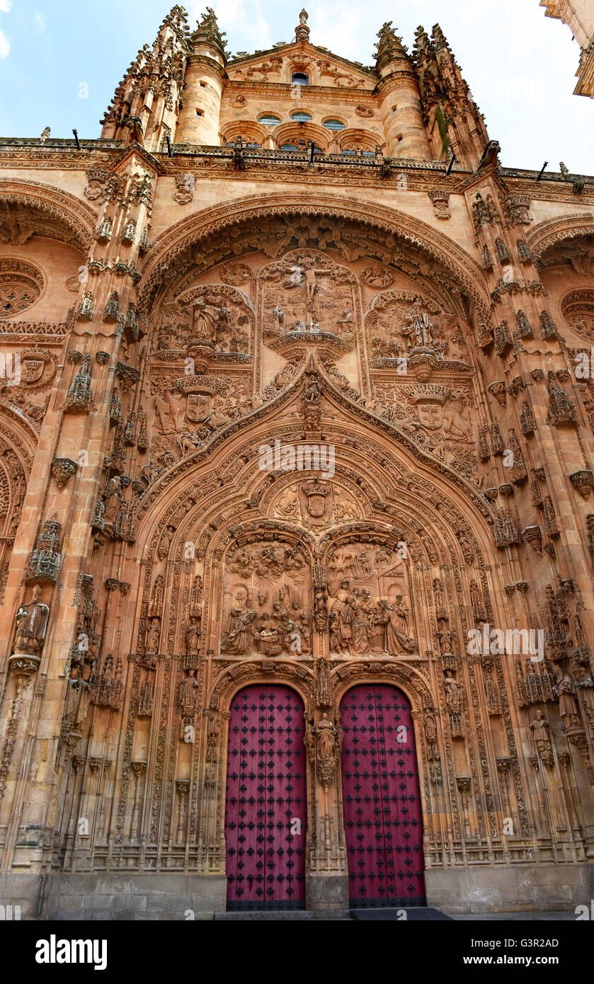 Double door detail at the New Cathedral in Salamanca in northwestern Spain. Stock Photo
