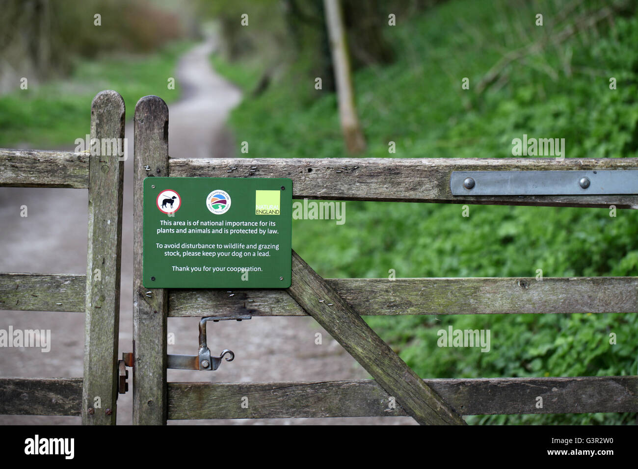 Footpath through the National Nature Reserve at Lathkill Dale in the Derbyshire Peak District National Park Stock Photo