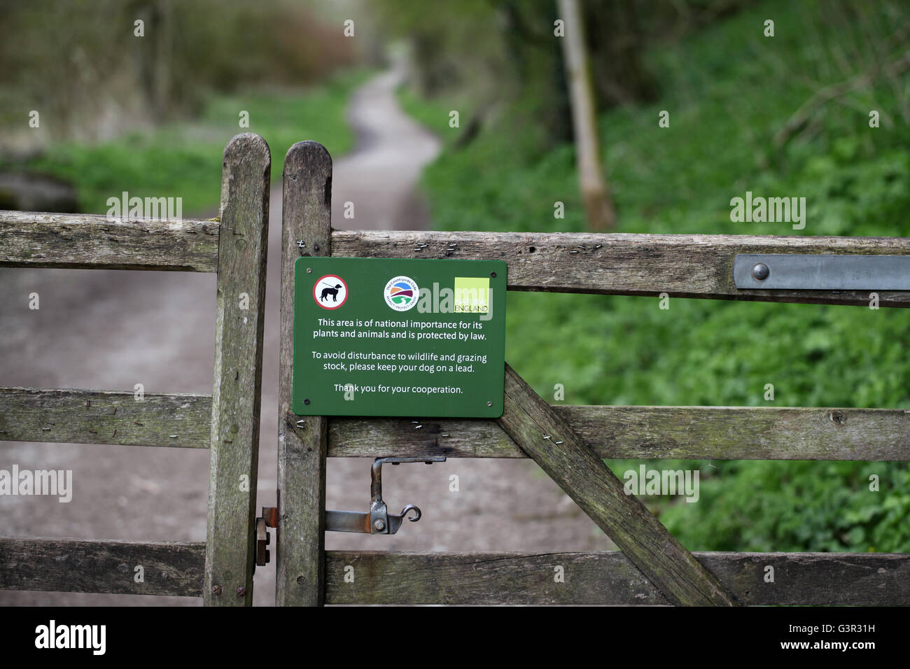 Footpath through the National Nature Reserve at Lathkill Dale in the Derbyshire Peak District National Park Stock Photo
