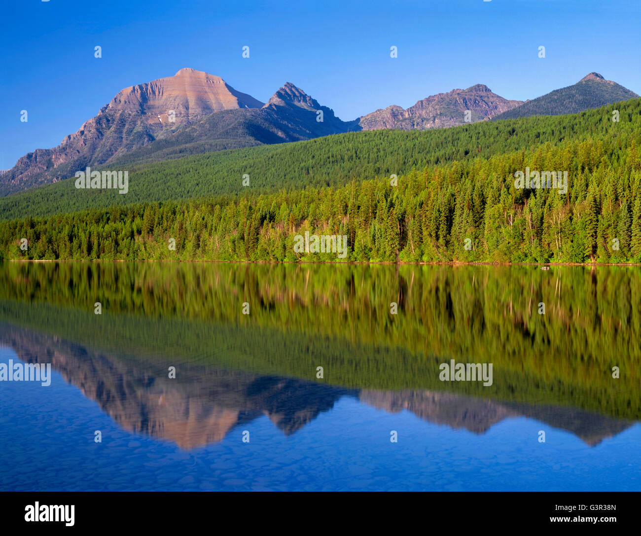 USA, Montana, Glacier National Park, Rainbow Peak (left) and Square ...