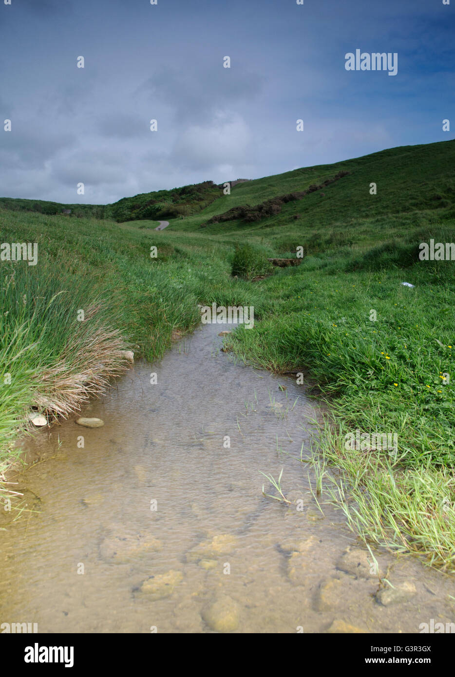 Valley Stream in Welsh hillside Stock Photo Alamy
