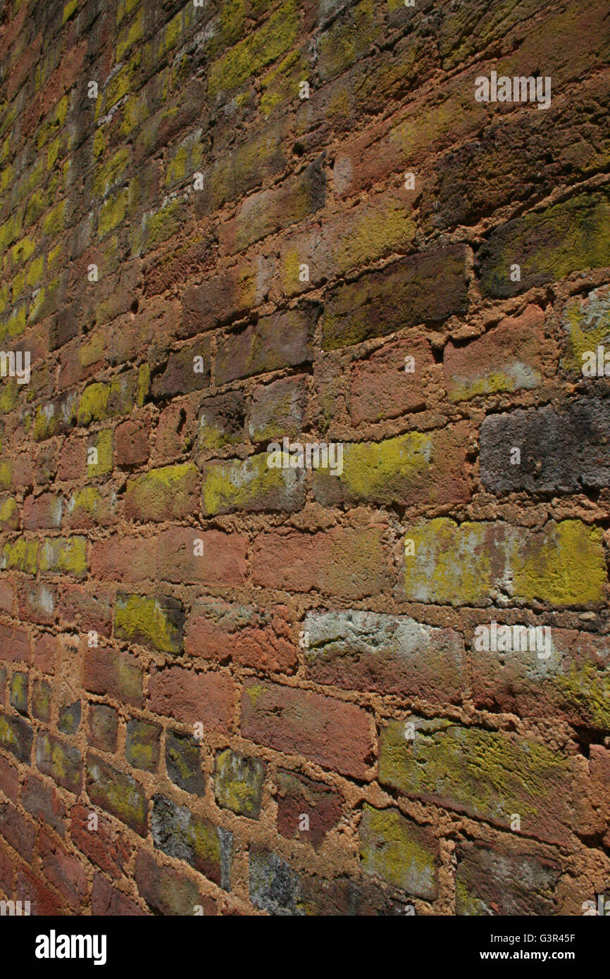 168 year old brick wall Stock Photo