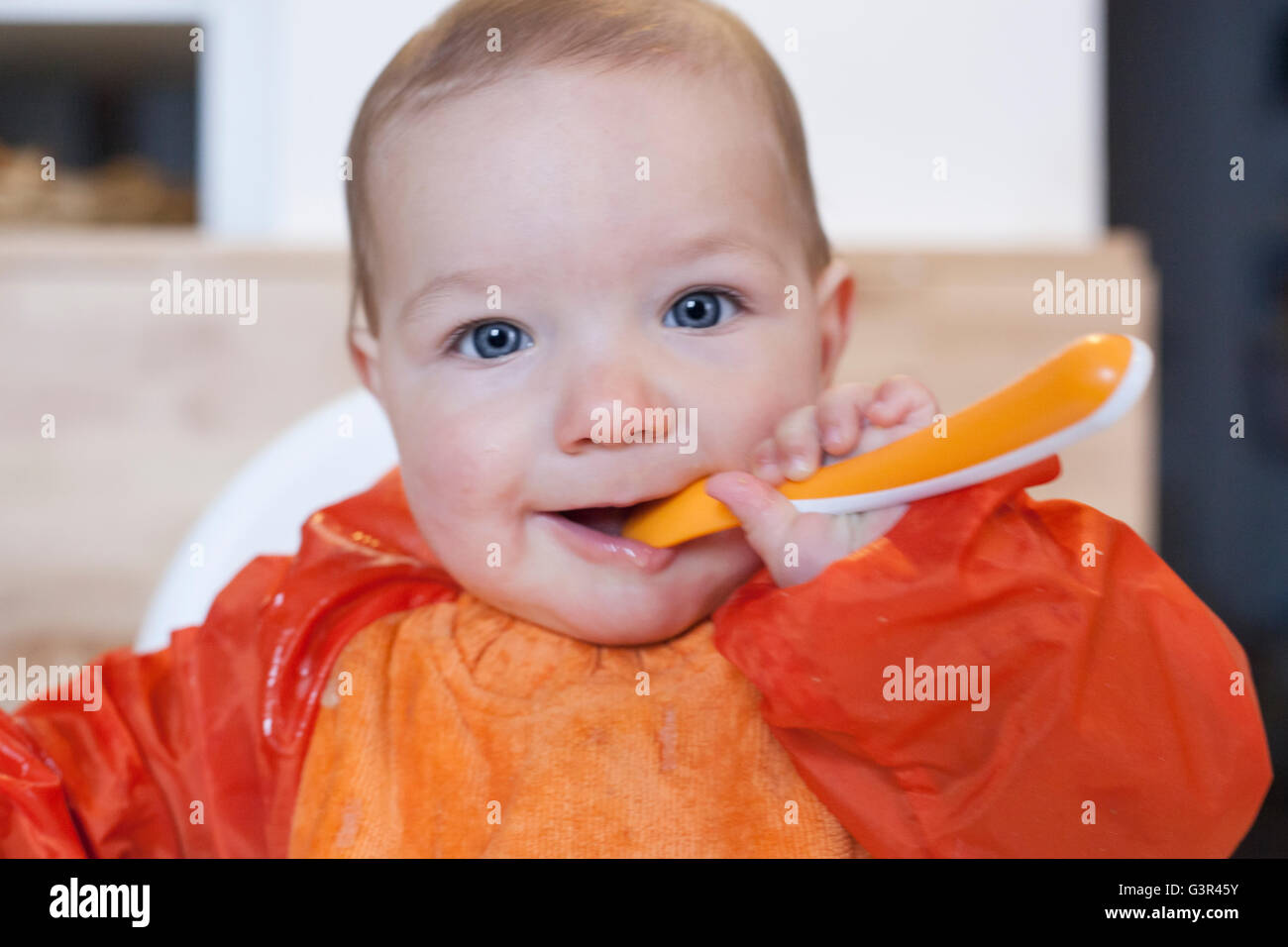 8 month baby boy having his cereal mush. He is wearing an orange bib. Trying to eat independently Stock Photo