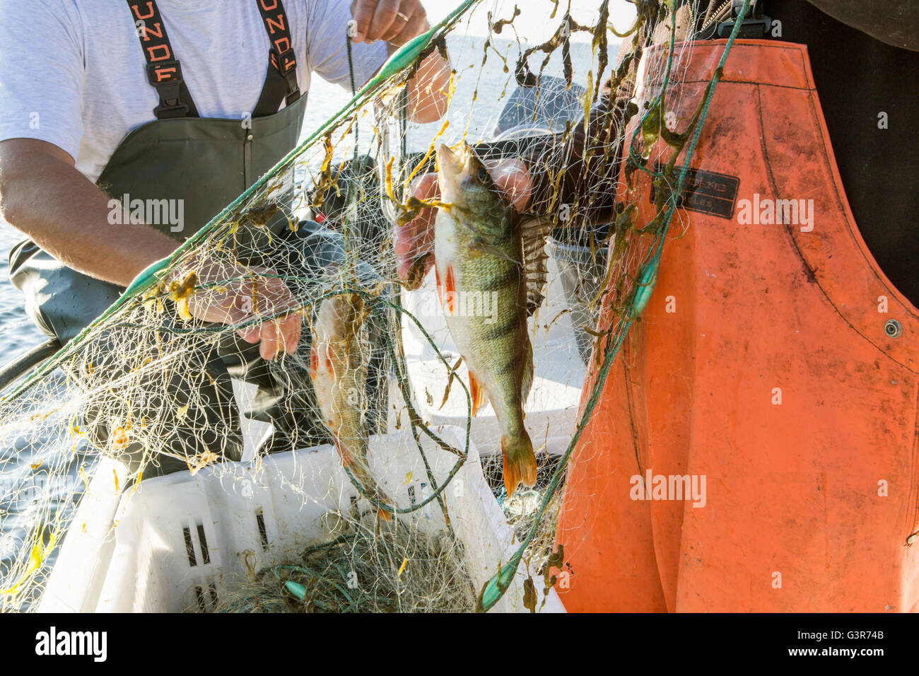 Fishermen holding net fish hi-res stock photography and images - Alamy