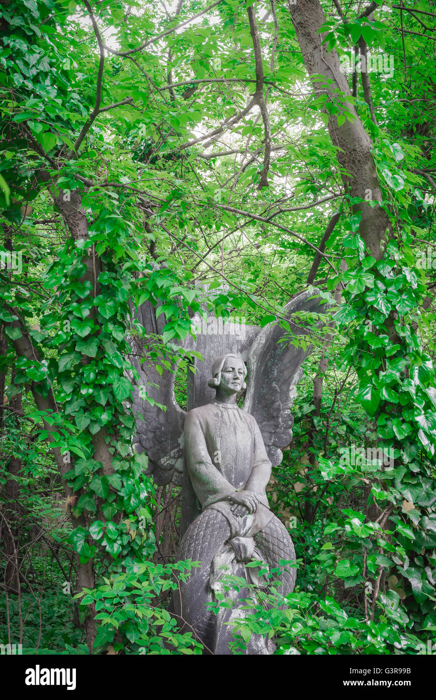 View of a stone angel forming part of a grave overgrown by ivy in the Kerepesi Cemetery in Budapest, Europe. Stock Photo