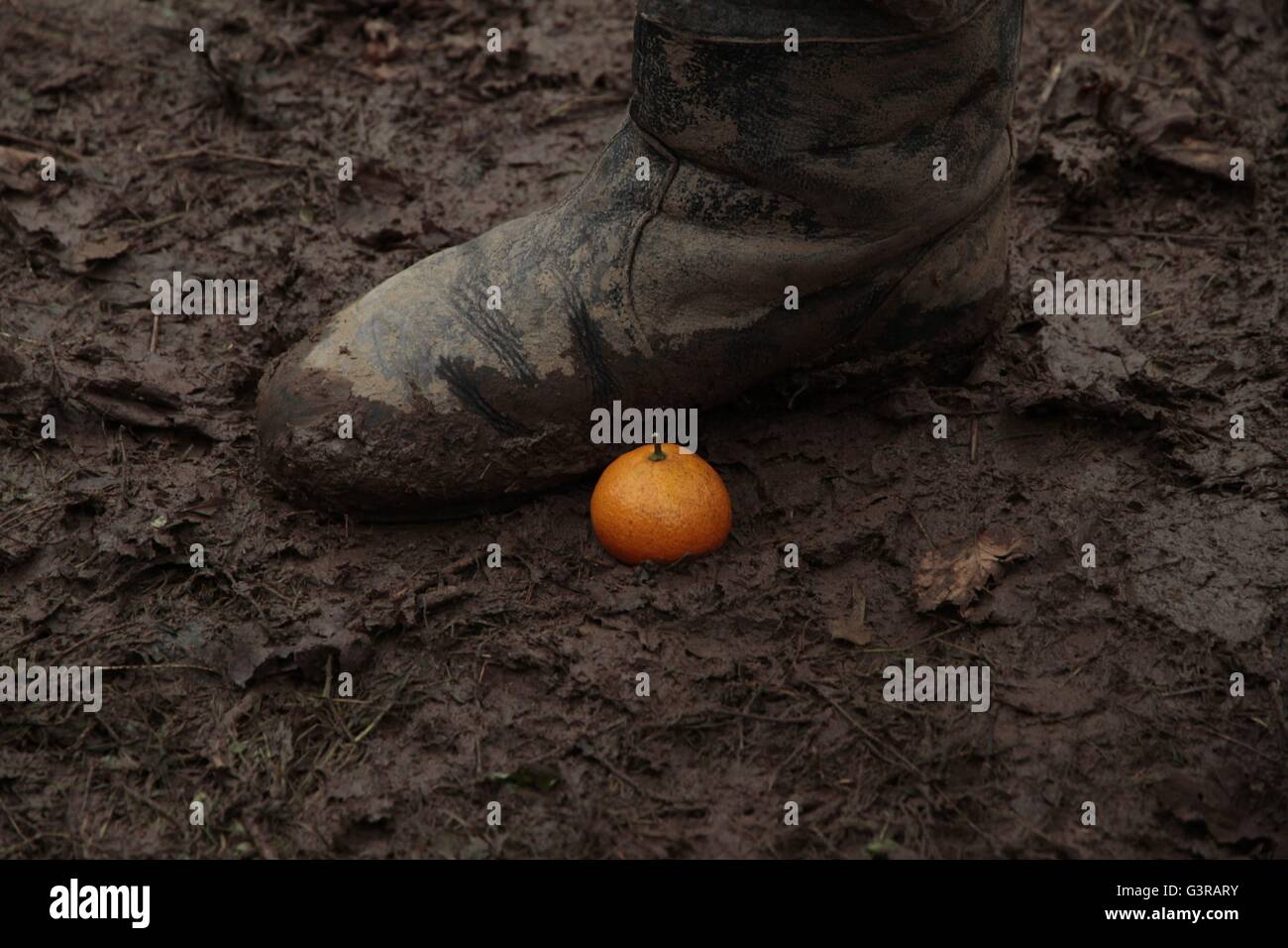 Mandariinid tangerines year hires stock photography and images Alamy