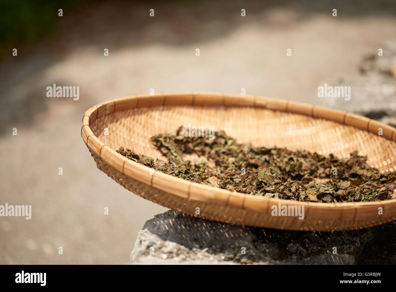 A shallow wicker basket of drying Japanese tea leaves out in the sun