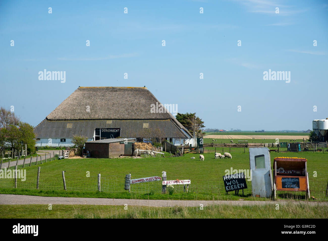 farm with thatched roof at texel holland Stock Photo
