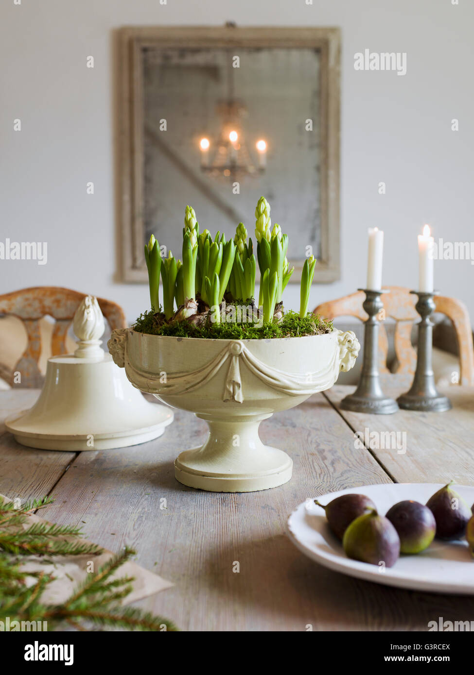 Elegant dining table potted plant figs hires stock photography and images Alamy