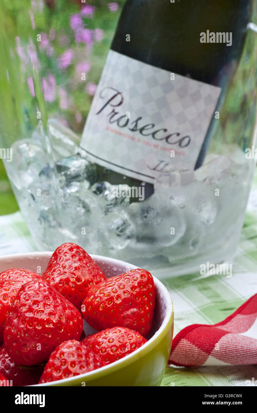 Italian Prosecco wine bottle in iced wine chiller with bowl of fresh strawberries on alfresco picnic table floral garden behind Stock Photo