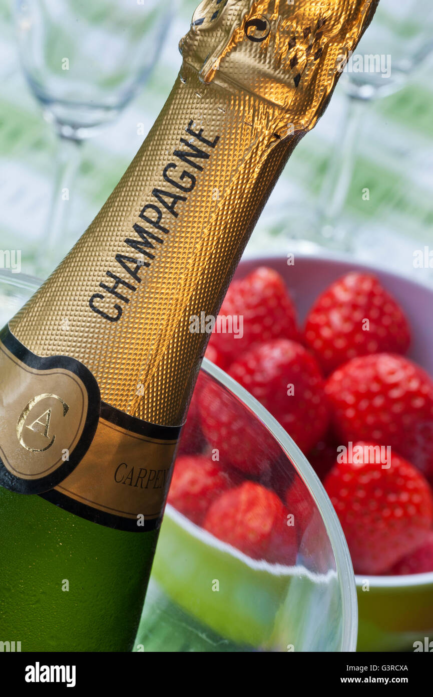 Close view on Champagne bottle in wine chiller with bowl of fresh strawberries and glasses on alfresco picnic table Stock Photo
