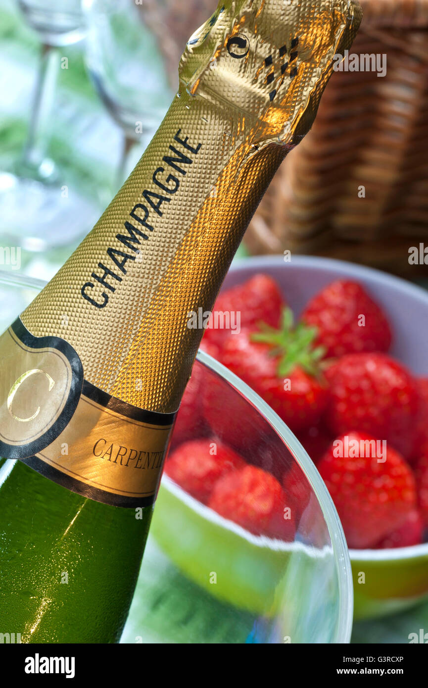 Champagne bottle in wine chiller with bowl of fresh strawberries on picnic table with glasses and hamper behind Stock Photo