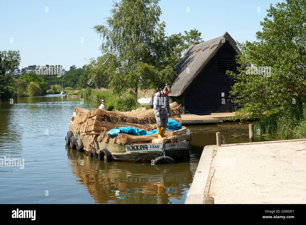 Norfolk Broads Reed Thatch High Resolution Stock Photography and Images ...