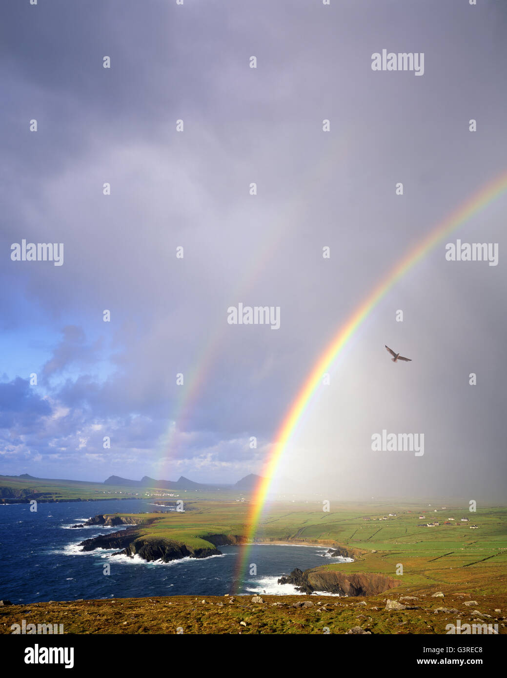 IE - CO. KERRY:  Rainbow over Ballyferriter Bay on the Dingle Peninsula Stock Photo