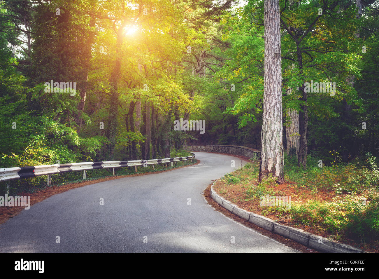 Beautiful landscape with asphalt road,green forest and road sign at vibrant sunrise in summer morning. Crimean mountains. Travel Stock Photo