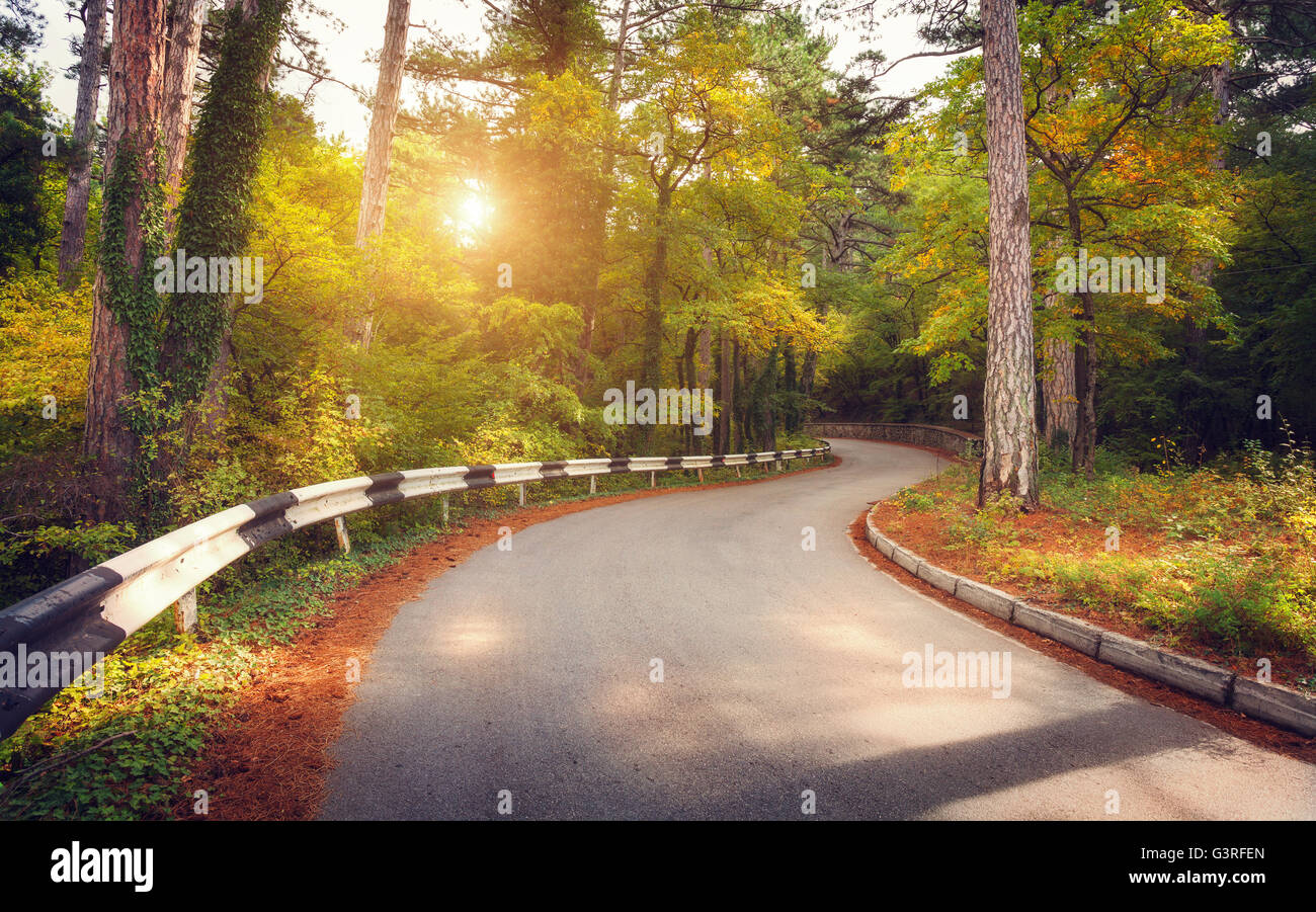 Beautiful landscape with asphalt road, green forest and yellow sun at colorful sunrise in summer. Crimean mountains.Travel backg Stock Photo