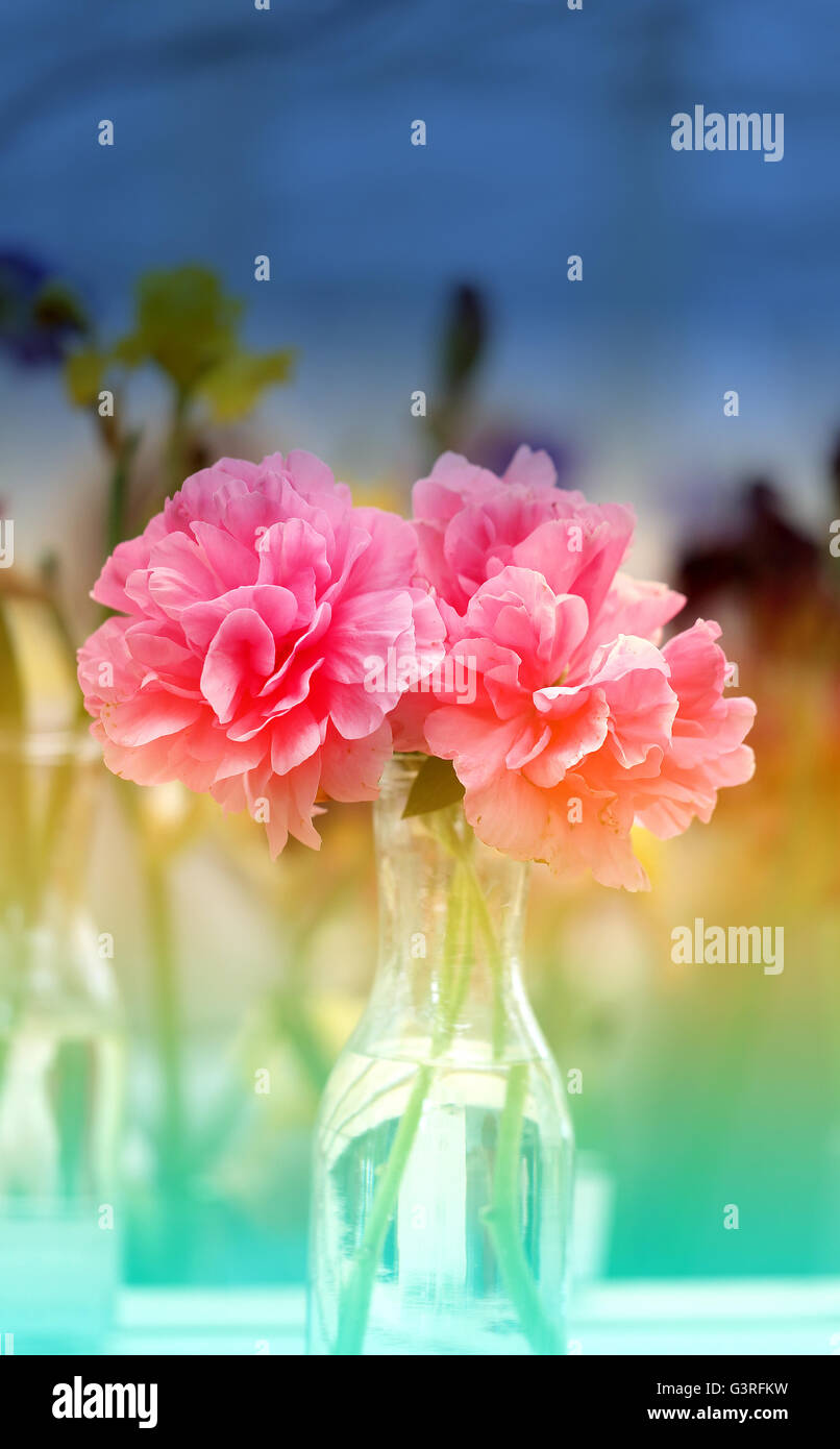 Photo color beautiful peonies in a vase on the exhibition Stock Photo