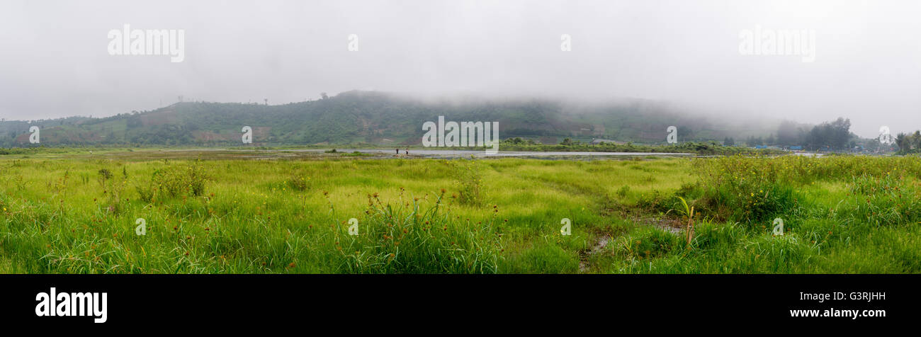 Panorama of swamp lake on fog Stock Photo