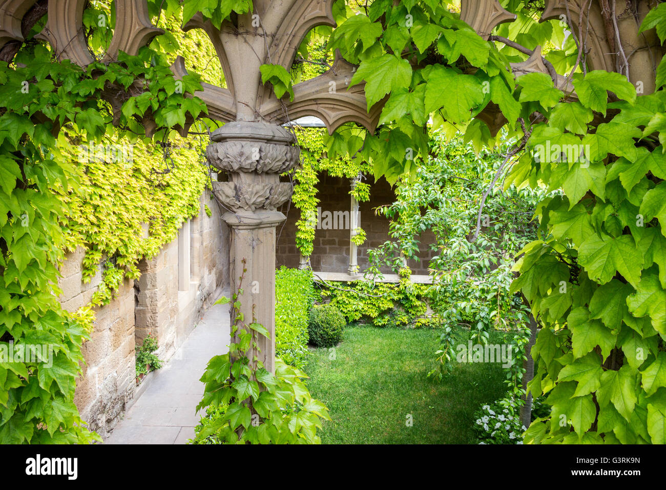 Grape leaves covering an inner court of a medieval castle Stock Photo
