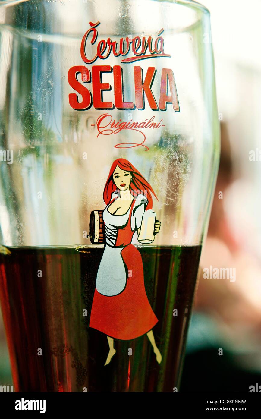 Saint Petersburg Russia. Cervena Selka is a Czech beer brewed under license by the Moscow Brewing Company Stock Photo