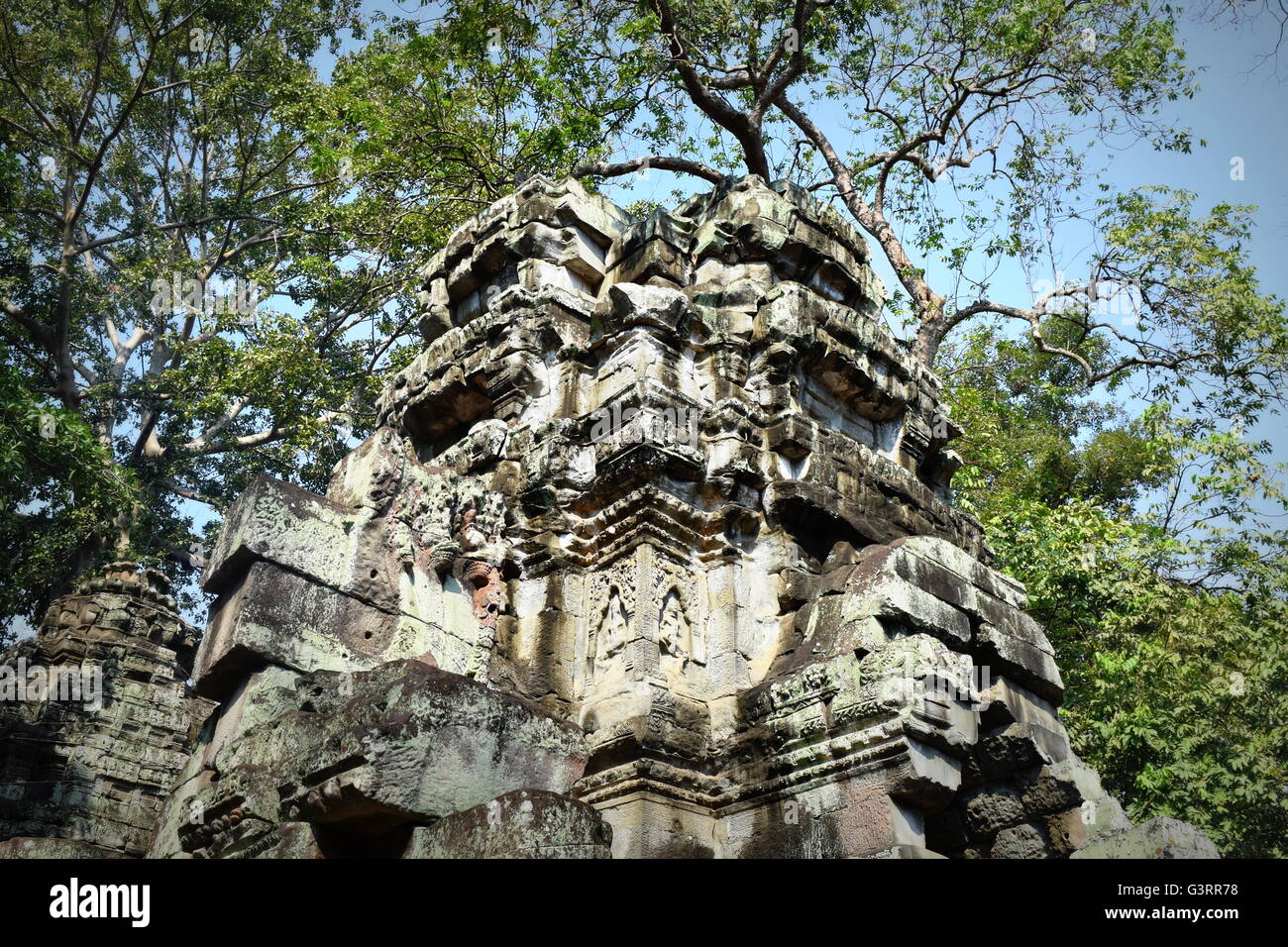 Stone jungle hi-res stock photography and images - Alamy