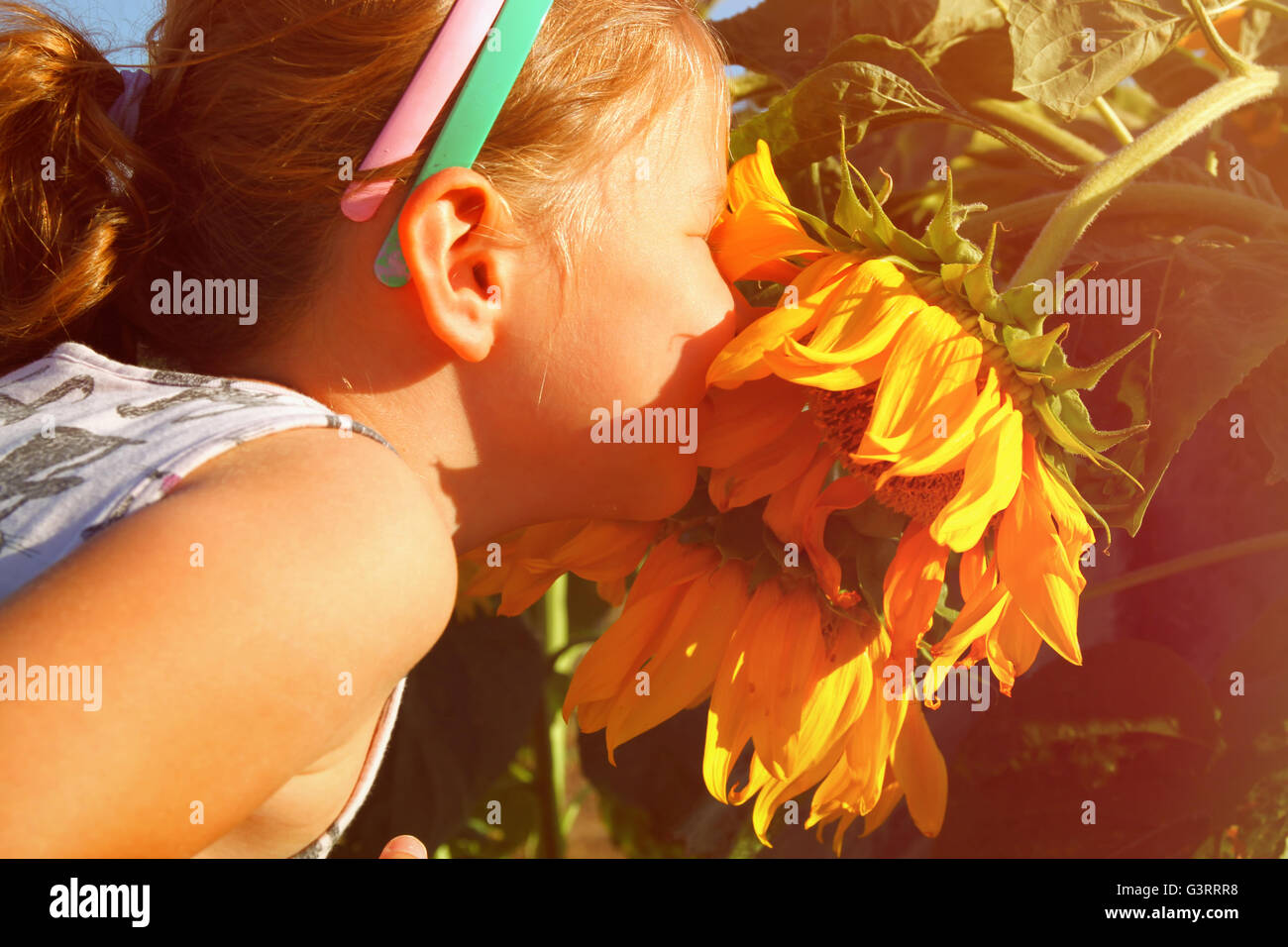 image of cute little girl smelling a sunflower in summer field at ...