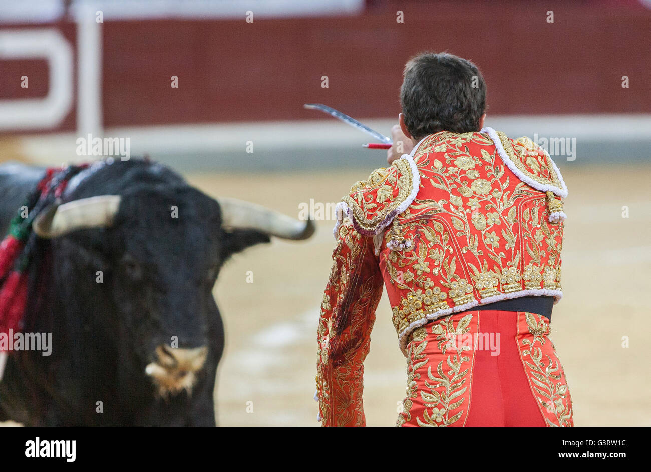 The Spanish Bullfighter David Fandila El Fandi preparing to enter to kill  the bull in the Bullring of Pozoblanco, Spain Stock Photo - Alamy