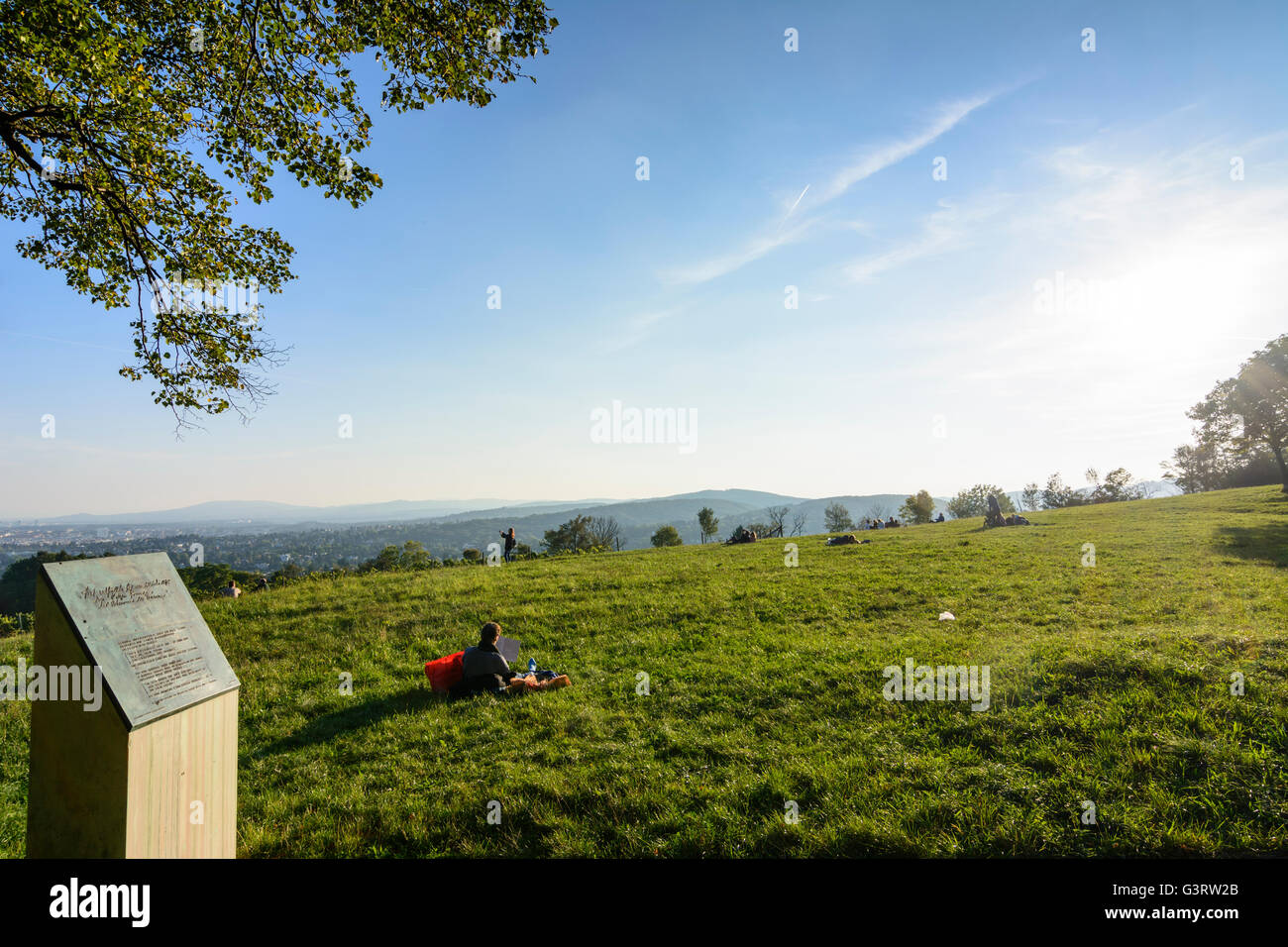 Sigmund Freud stele on the Bellevue Wiese at Cobenzl in Grinzing overlooking Vienna, Austria, Wien, 19., Wien, Vienna Stock Photo