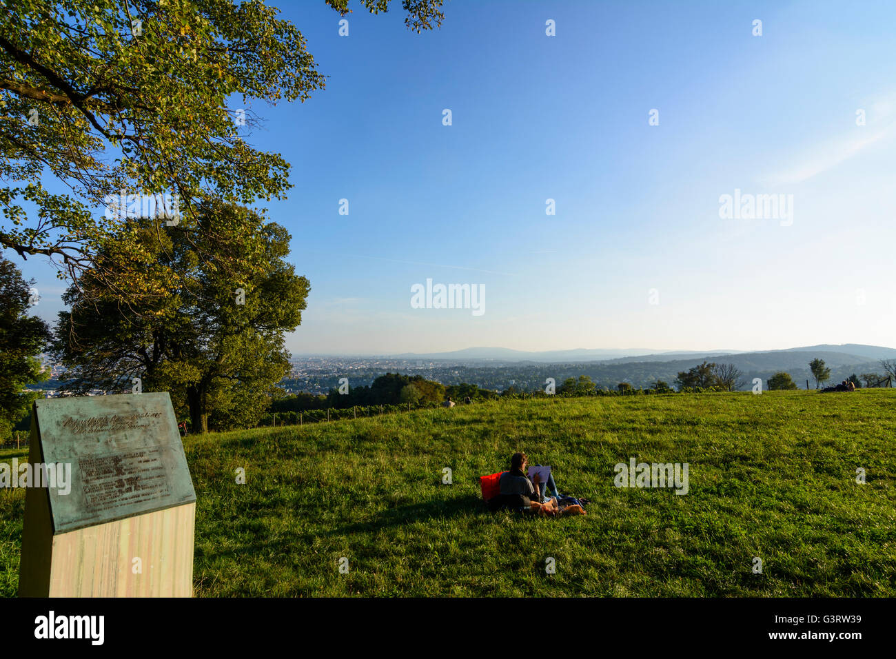 Sigmund Freud stele on the Bellevue Wiese at Cobenzl in Grinzing overlooking Vienna, Austria, Wien, 19., Wien, Vienna Stock Photo