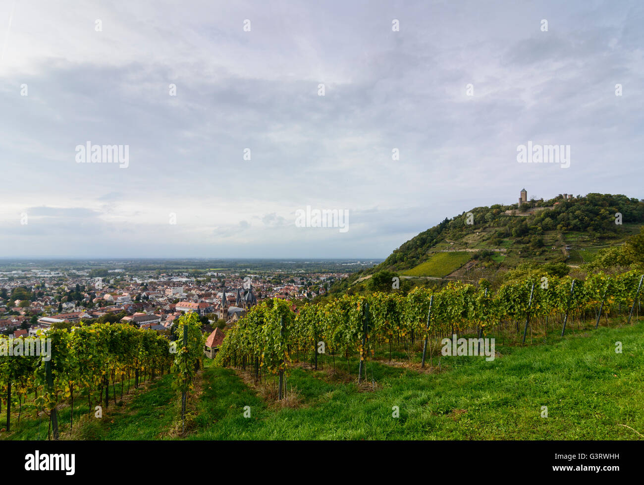Starkenburg hi-res stock photography and images - Alamy