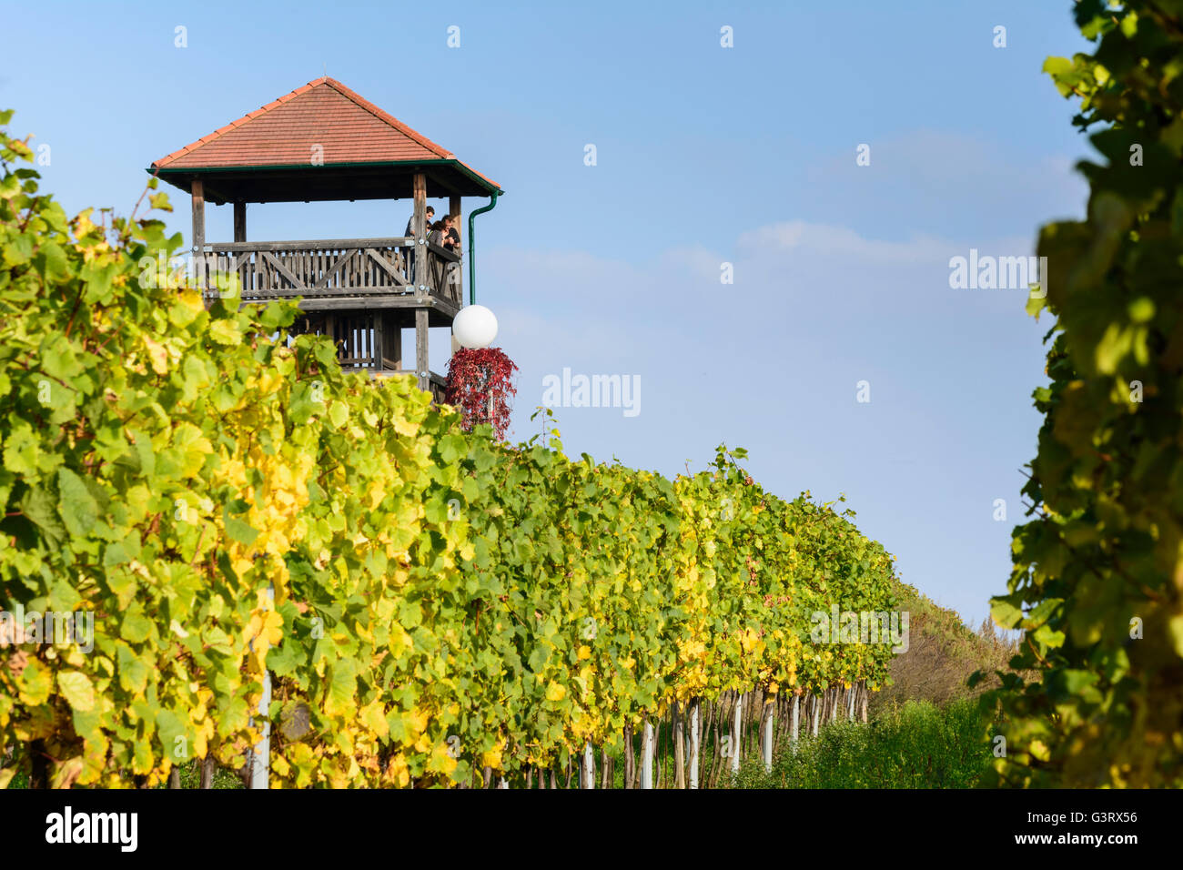 watch tower Engabrunn and vineyards, Austria, Niederösterreich, Lower Austria, Waldviertel, Grafenegg Stock Photo