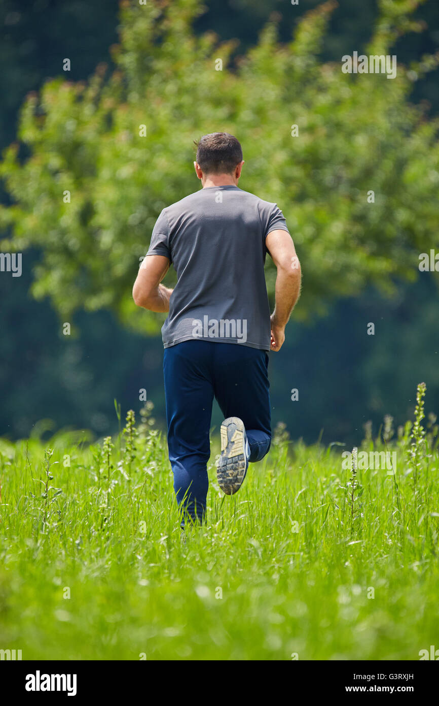 Ultra Distance Runner Ultra distance marathon runner training in the forests Stock Photo - Alamy