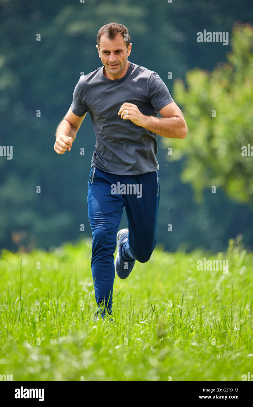 Ultra Distance Runner Ultra distance marathon runner training in the forests Stock Photo - Alamy
