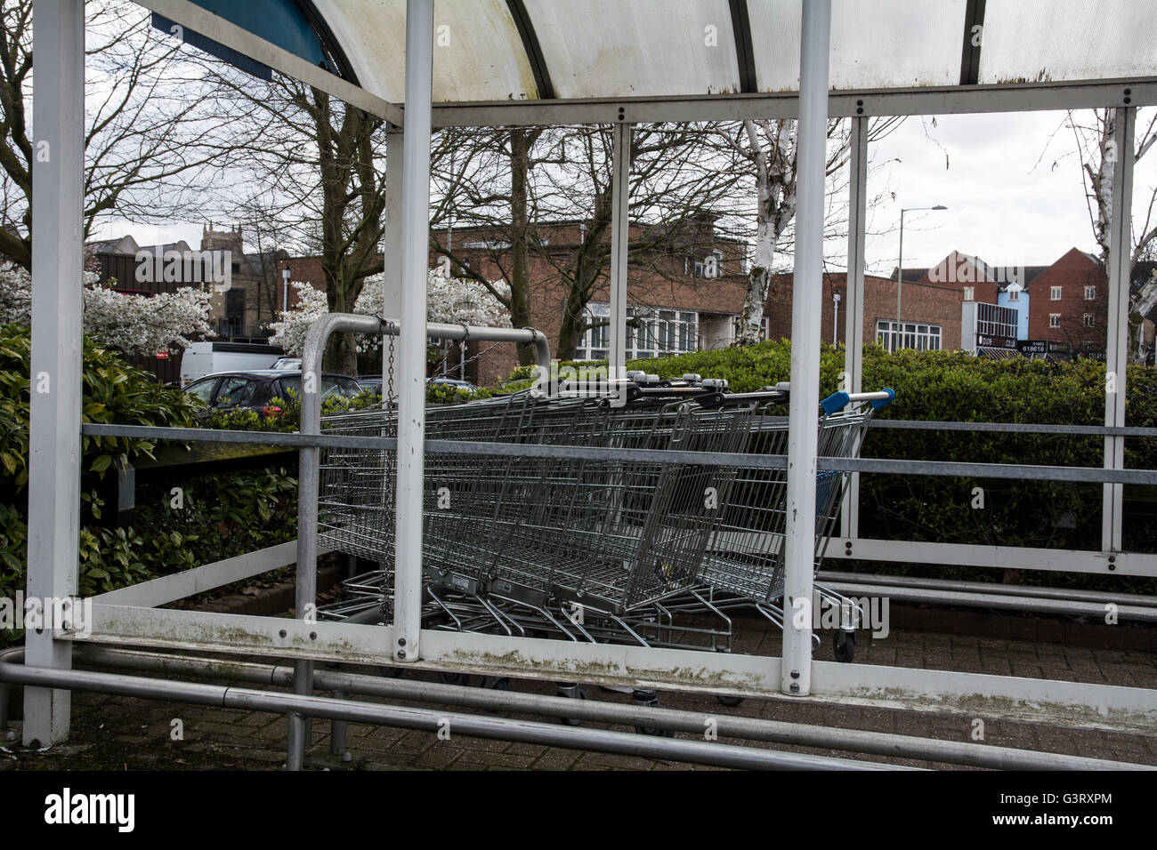 Broughton Shopping Trolley Shelter
