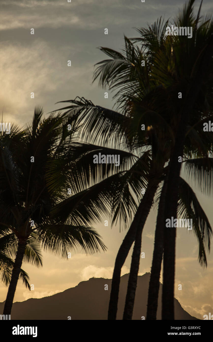 Hawaii diamond head sunrise hi-res stock photography and images - Alamy